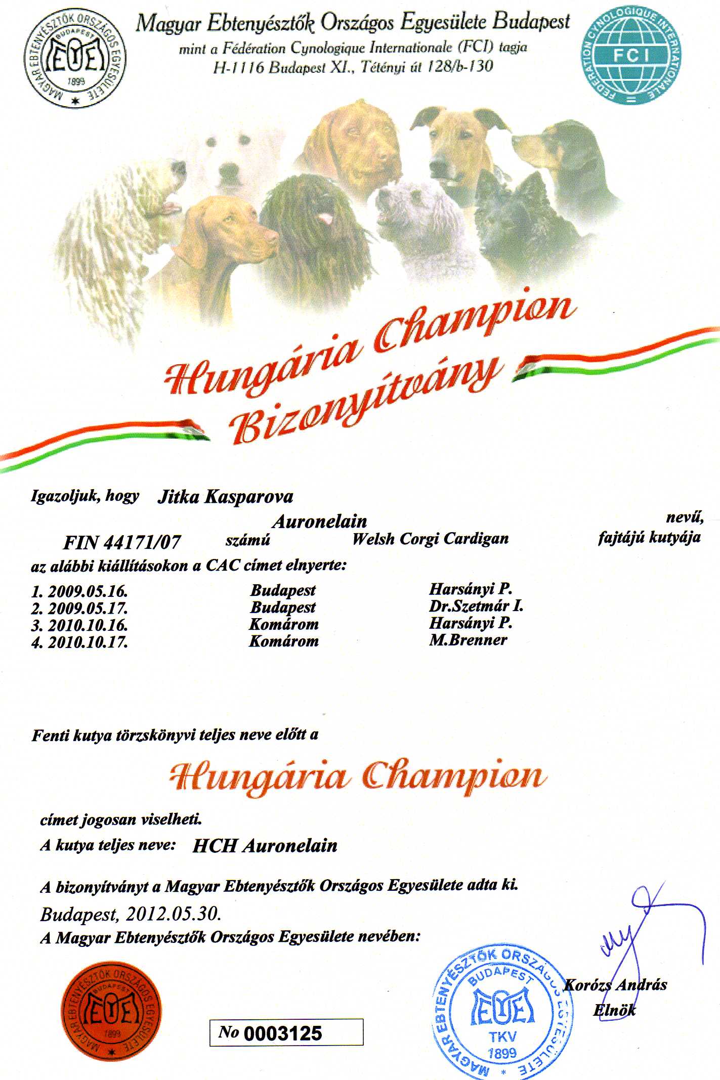 Hungarian champion