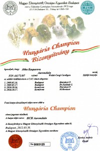 hungarian-champion.jpg